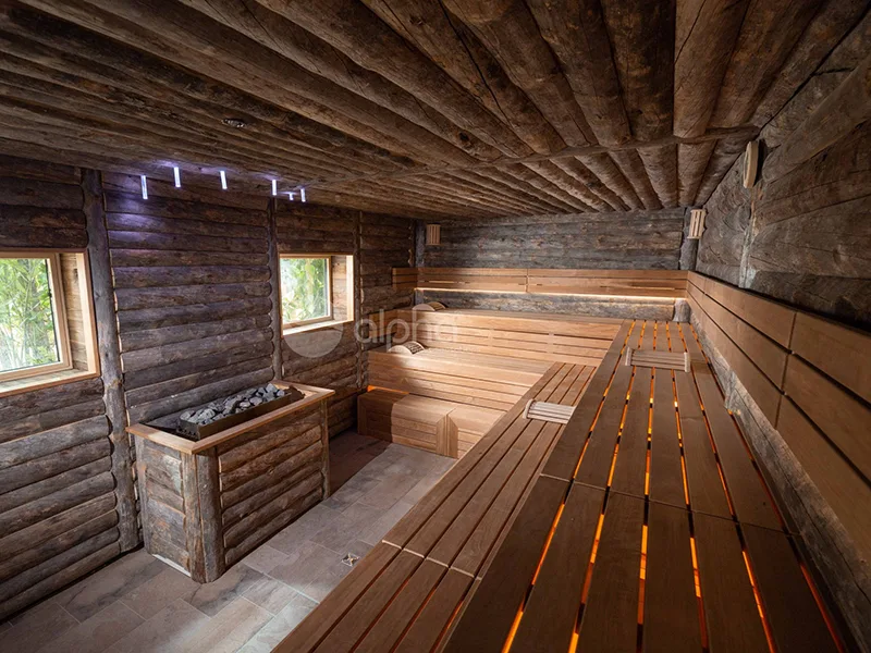 Sauna en bois