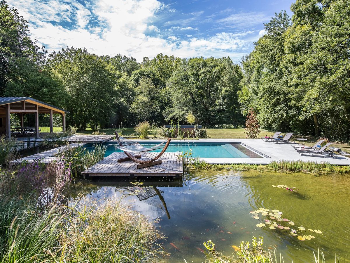 Piscine naturelle avec bassin écoresponsable en Nord-Isère (38)