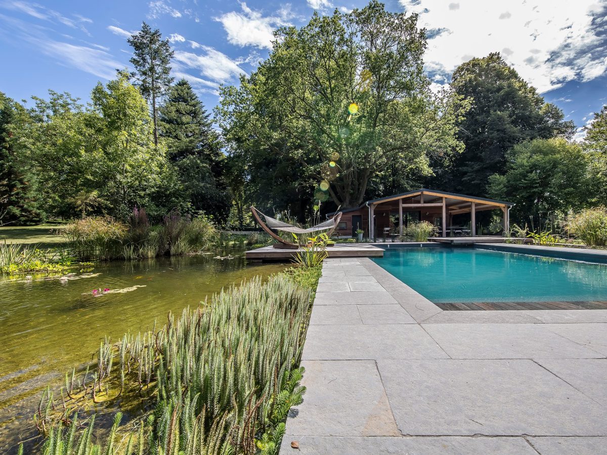 Piscine naturelle avec bassin sauvage faune/flore à Bourgoin-Jallieu