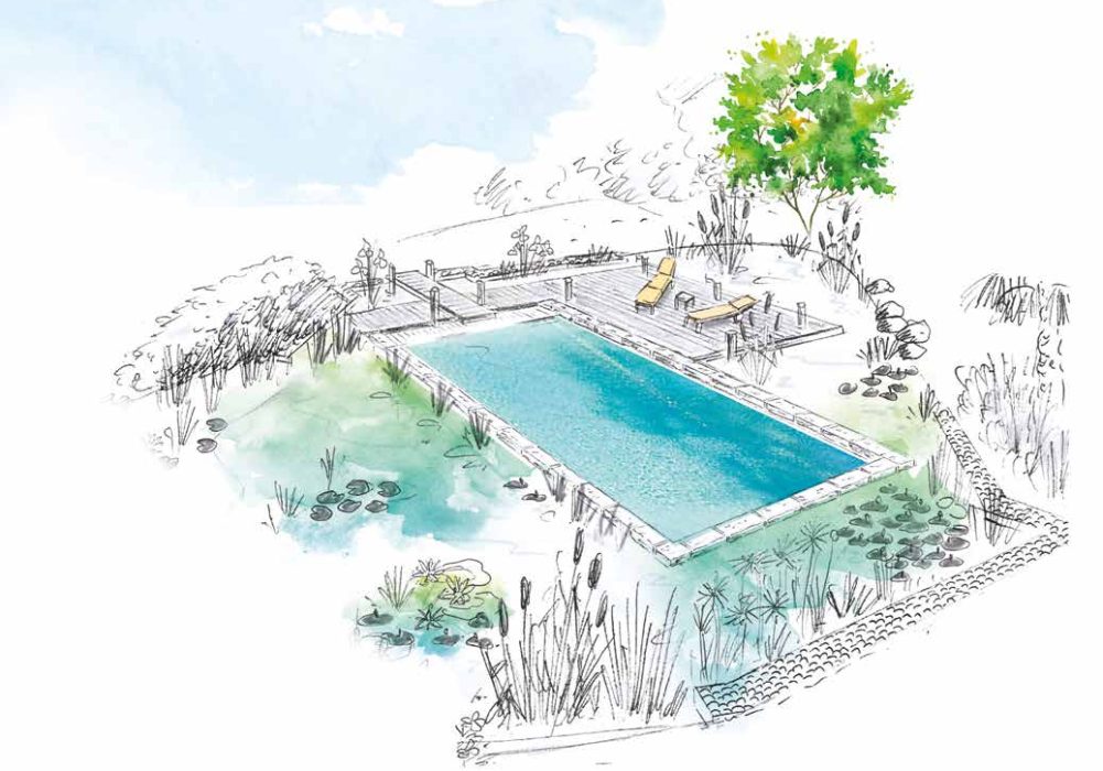 Plan d'une piscine
