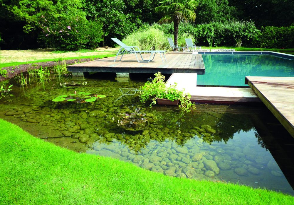 Piscine Rectangulaire Naturelle - Réalisation EUROPISCINE - © Lionel BRUN